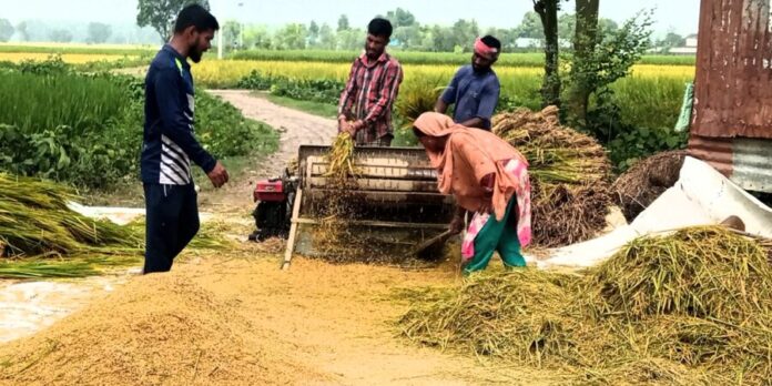 IMG_20241019_121121_561-900x450