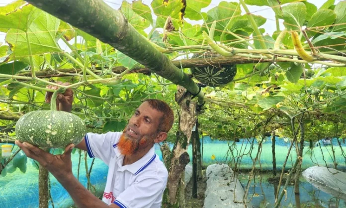 image-232299-1757328304