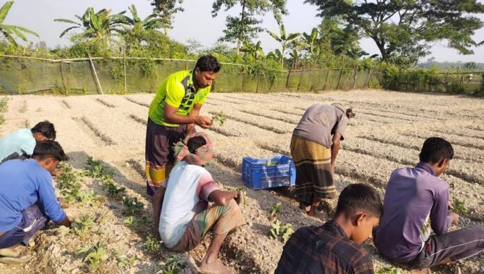 image-258891-1764489401