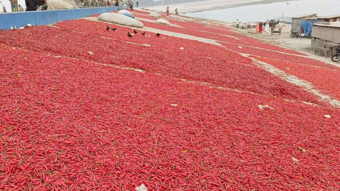 ssst_20240225_171040769